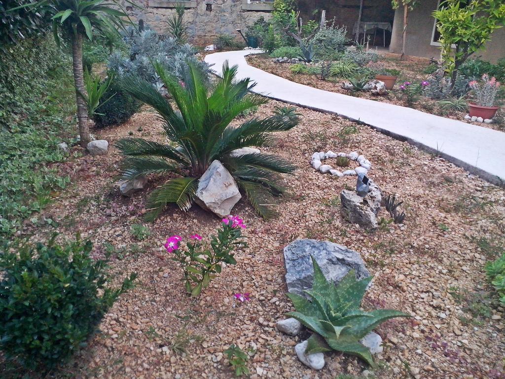 Apartments Fanito Makarska Dış mekan fotoğraf